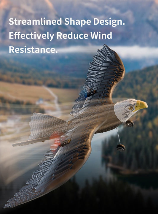RC Eagle For Kids - PERSP SMS
