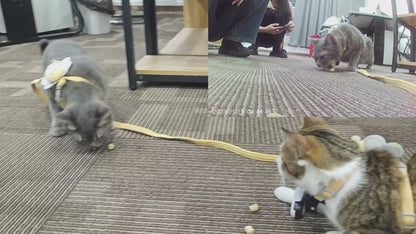 Two cats playing with a toy on a carpeted floor.