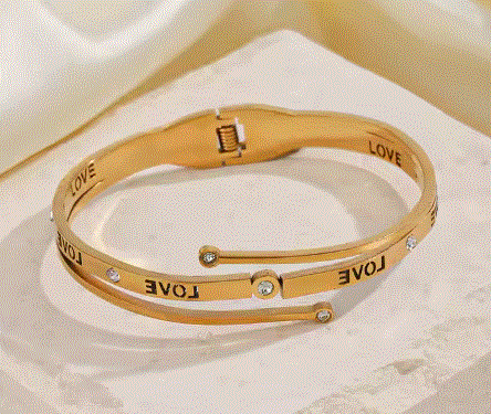 Stainless Steel Zircon Bracelet bangle