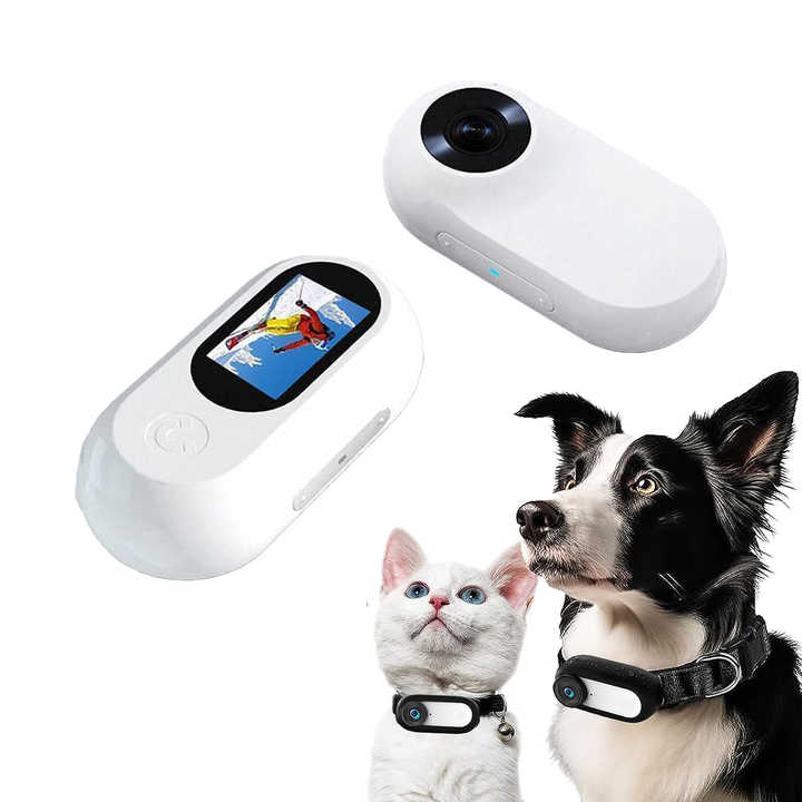 Pet tracking device with a dog and cat wearing collars on a white background
