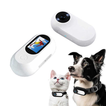 Pet tracking device with a dog and cat wearing collars on a white background