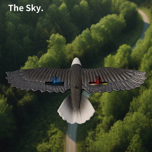 RC Eagle For Kids